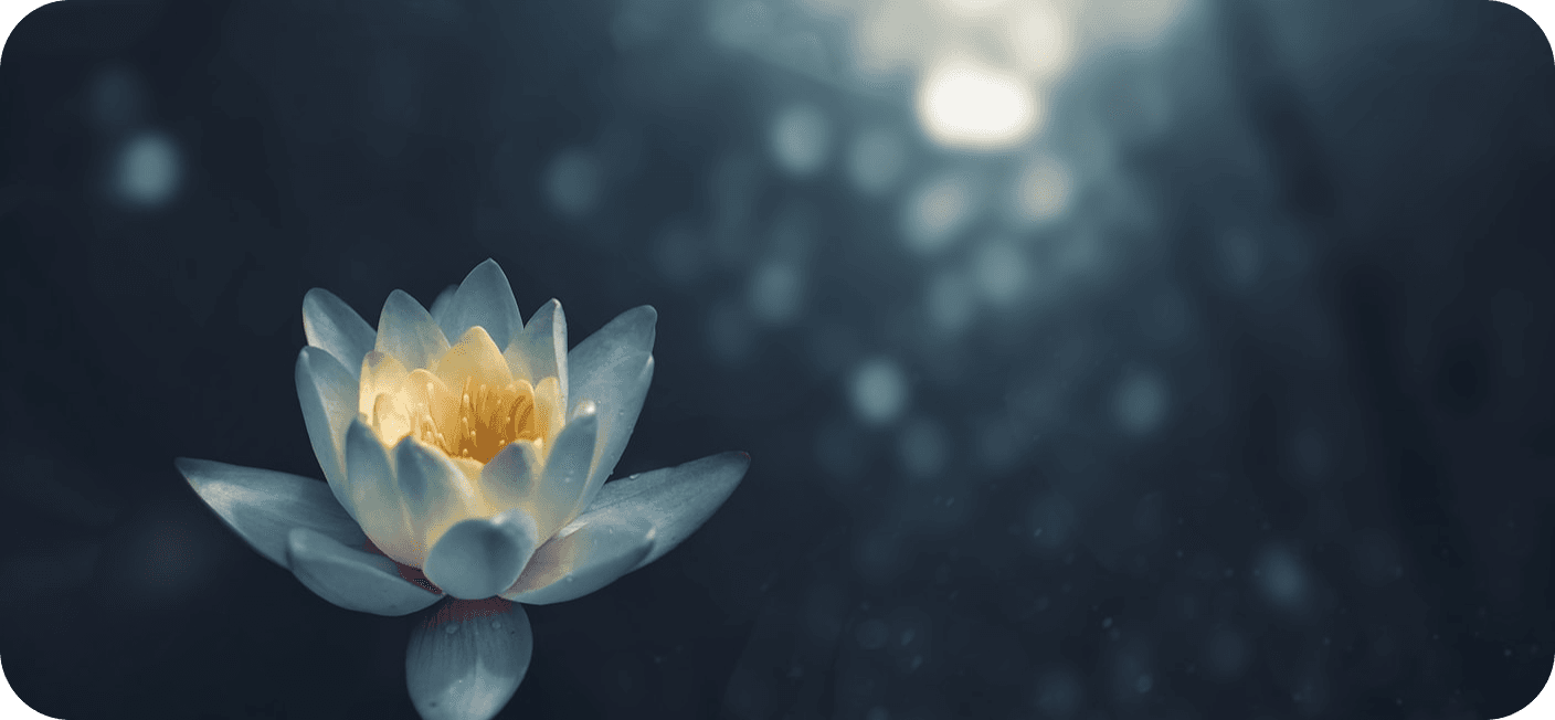 Lotus flower